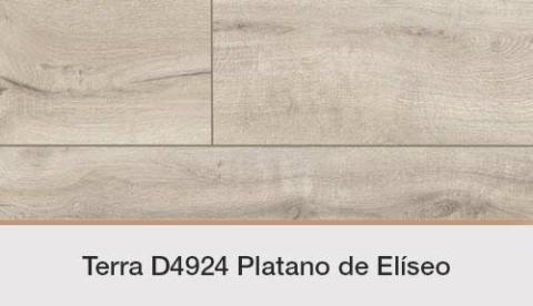 Kronopol Platinium Terra D4924 Plátano de Elíseo